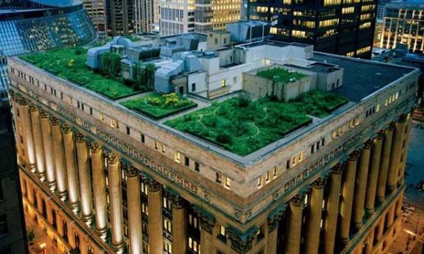 芝加哥市政廳屋頂花園(來源：芝加哥市政廳官網)